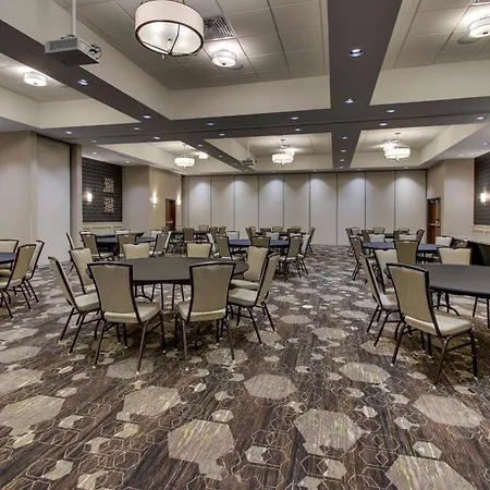 Drury Plaza Hotel Dallas Richardson-3