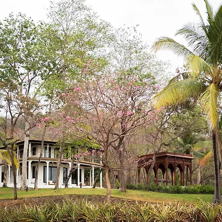 Reunion Wellness Resort & Retreats-3