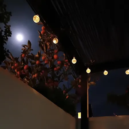 Casa Campana-2