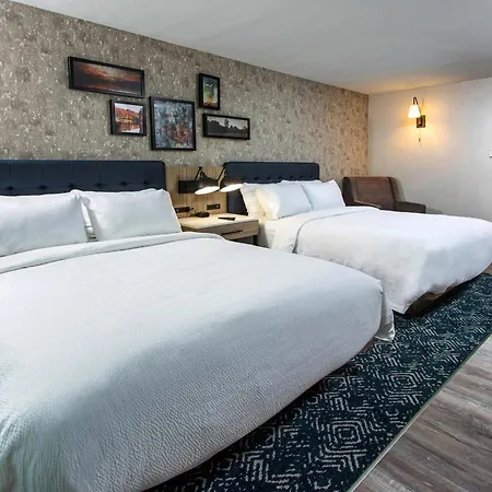 Four Points By Sheraton Appleton-3