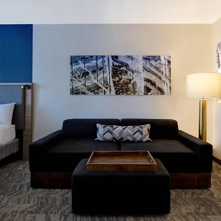 Springhill Suites By Marriott Las Cruces-3
