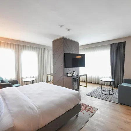 Crowne Plaza Ankara By Ihg-2