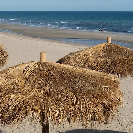 Encantame Towers Viento 203-2