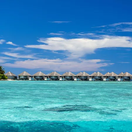 Niva Velassaru Maldives-2