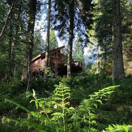 Glentress Forest Cabins - Forest Holidays-2
