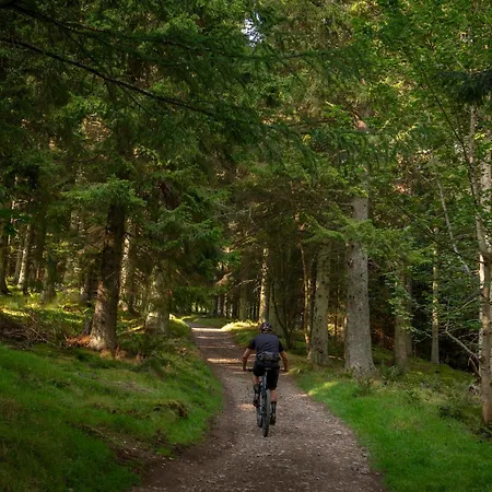 Glentress Forest Cabins - Forest Holidays-3