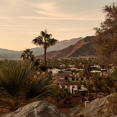 The Willows Palm Springs-3