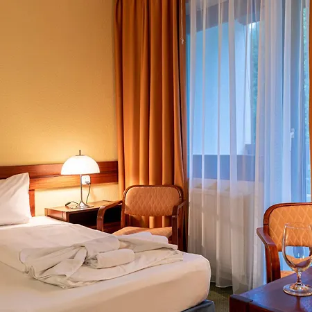 Hotel Loever Sopron-2