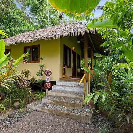 Copa De Arbol Beach & Rainforest Resort-3