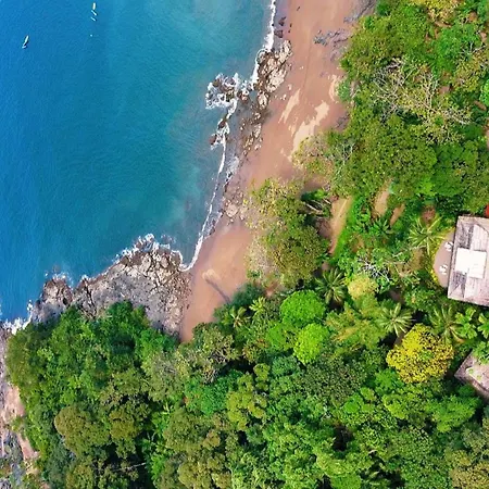 Copa De Arbol Beach&Rainforest Resort-3