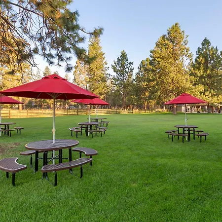 Best Western Ponderosa Lodge-3
