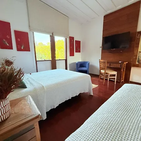 Ecohotel Vale Do Sol-2