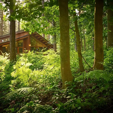 Blackwood Forest Cabins - Forest Holidays-2