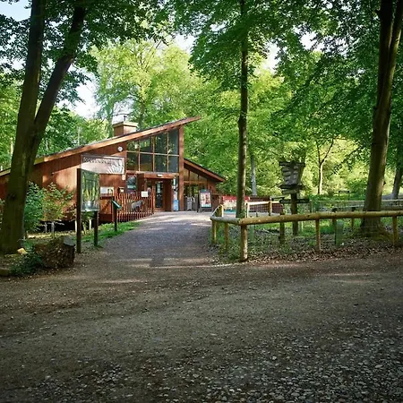 Blackwood Forest Cabins - Forest Holidays-3