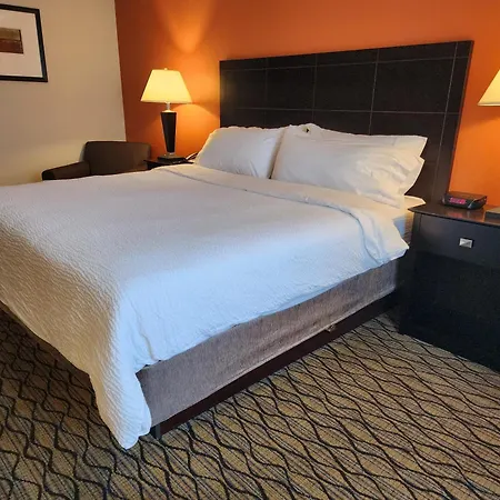 Holiday Inn Express Hotel & Suites Cadillac By Ihg-3