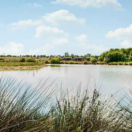 Hanworth Country Park-3