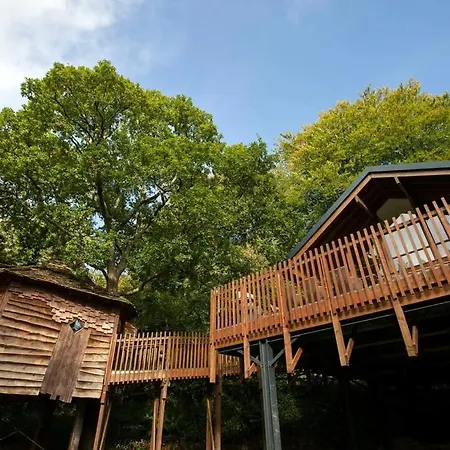 Keldy Forest Cabins - Forest Holidays-3