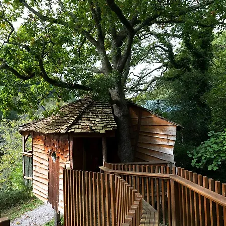 Deerpark Cabins, Cornwall - Forest Holidays-2