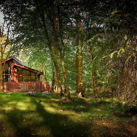 Beddgelert Cabins, Snowdonia - Forest Holidays-3