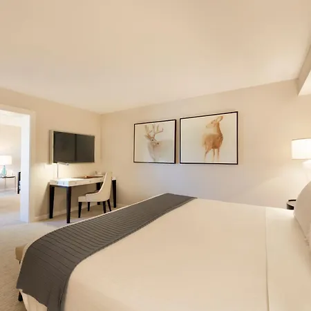 The H Hotel-3