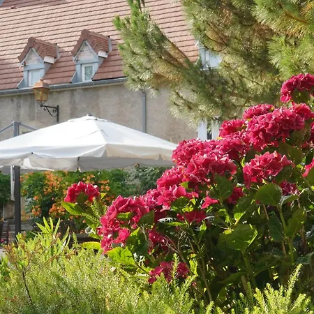 Domaine Les Bertrands-3