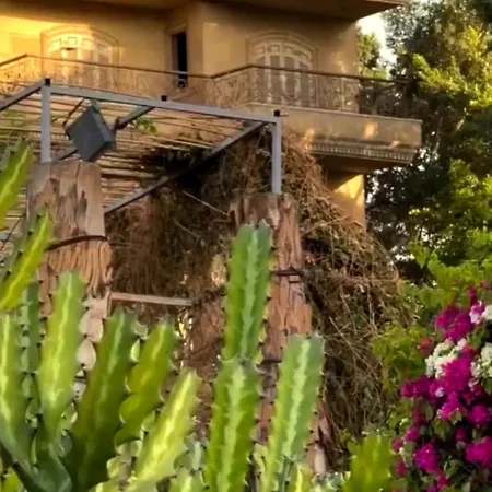 Il Campo Boutique Ecolodge-3