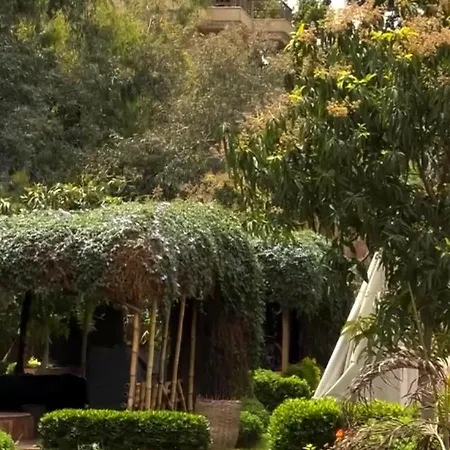 Il Campo Boutique Ecolodge-2