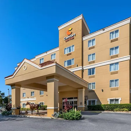 Comfort Suites Ocala North-2