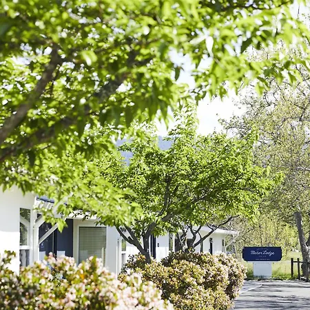 Calistoga Motor Lodge And Spa-3