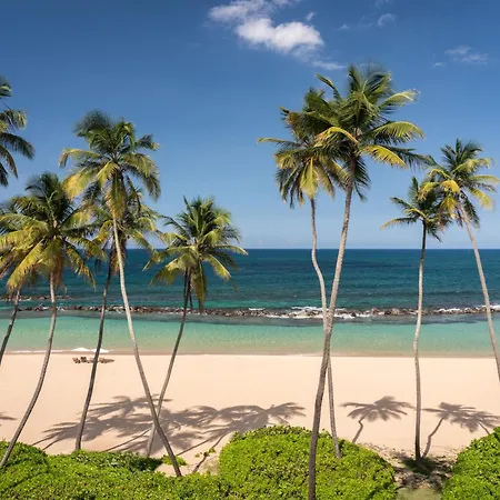 Residences At Dorado Beach, A Ritz Carlton Reserve-3