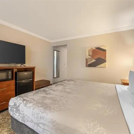 Best Western Angus Inn-3