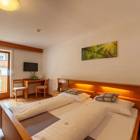 Almhotel Bergerhof-2