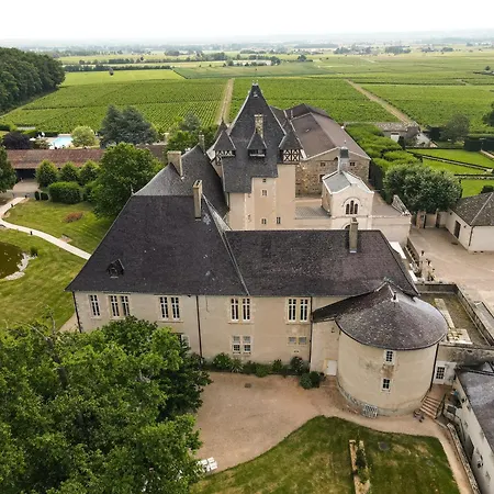 Chateau De Pizay-2
