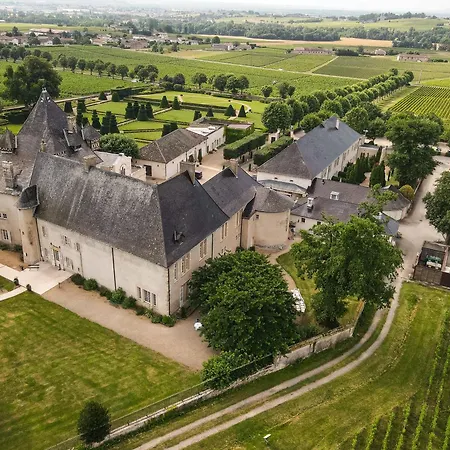 Chateau De Pizay-2