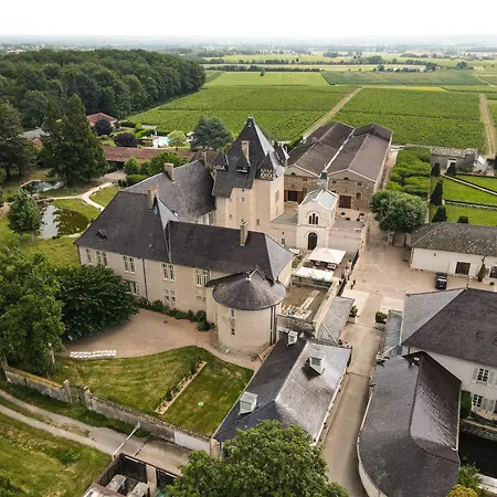 Chateau De Pizay-3