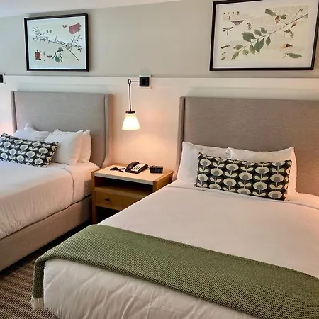 White Mountain Hotel And Resort-3
