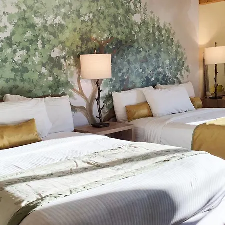 Arbors At Island Landing Hotel & Suites-3