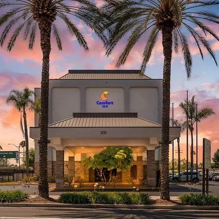 Comfort Inn Anaheim Resort-3