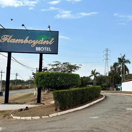 Flamboyant Hotel (Adults Only)-2