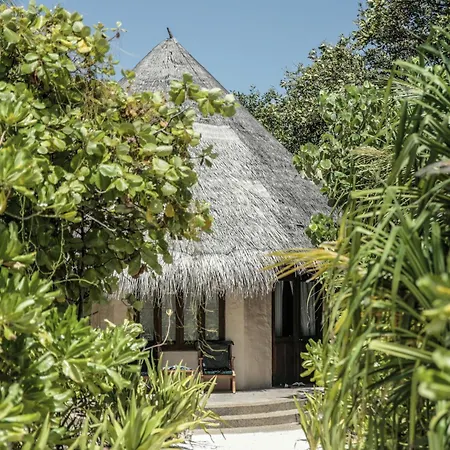 Coco Palm Dhuni Kolhu-2