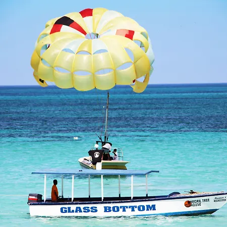 Negril Treehouse Resort-3