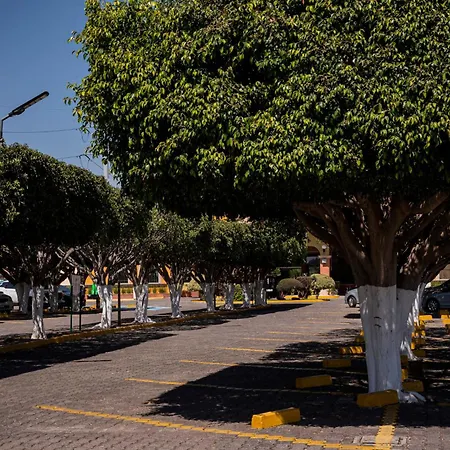Holiday Inn La Piedad By Ihg-2