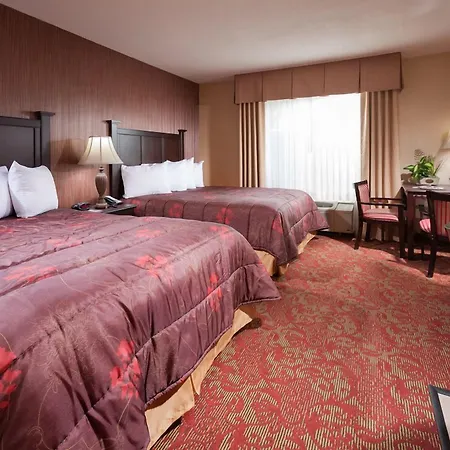 Castle Inn And Suites Anaheim-3