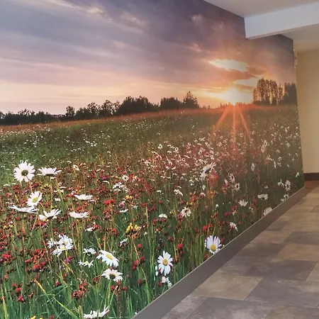 Quality Inn & Suites Detroit Lakes-2