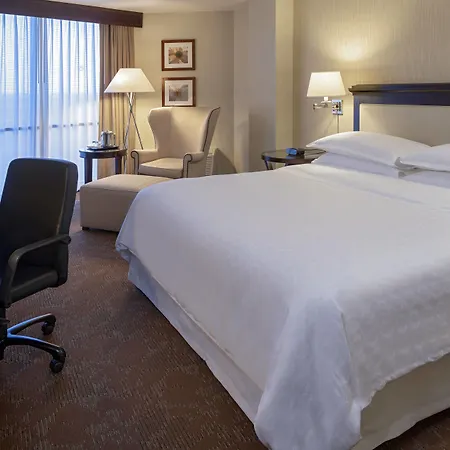 Sheraton Houston Brookhollow Hotel-3