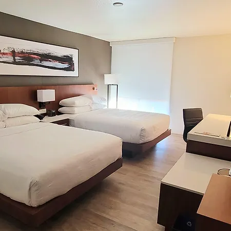 Delta Hotels By Marriott Denver Thornton-3