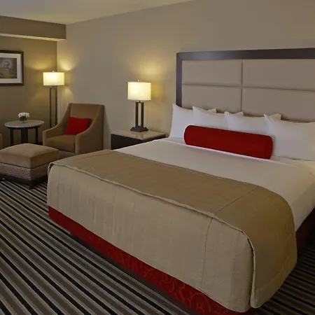 The Madison Concourse Hotel-3
