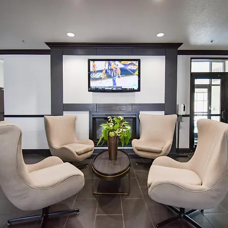 Holiday Inn San Antonio North Stone Oak Area By Ihg-Newly Renovated-2
