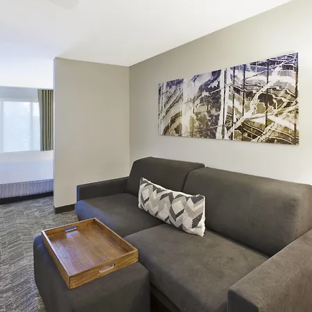 Springhill Suites Minneapolis-St. Paul Airport/Eagan-2