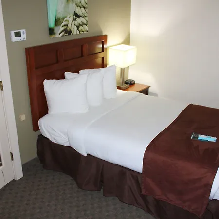 Best Western Adams Inn Quincy-Boston-2